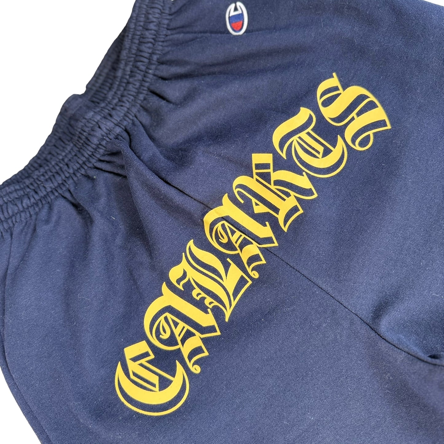 Navy Blue CALARTS X CHAMPION Sweats